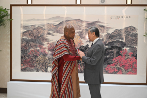 Chinese and Ghanaian foreign ministers meeting"
